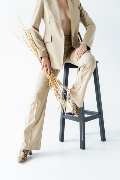 обрізаний вид сексуальної моделі в костюмі, що сидить на табуреті і тримає пшеничні колоски на білому
 - Фото, зображення