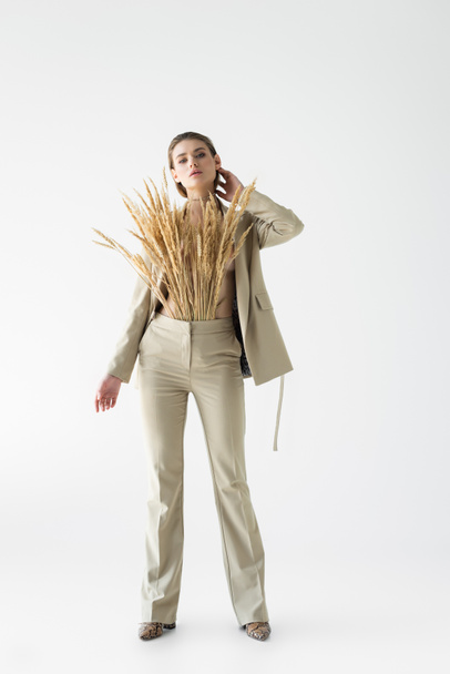 stylish woman in beige suit with wheat spikelets posing on white  - Foto, imagen