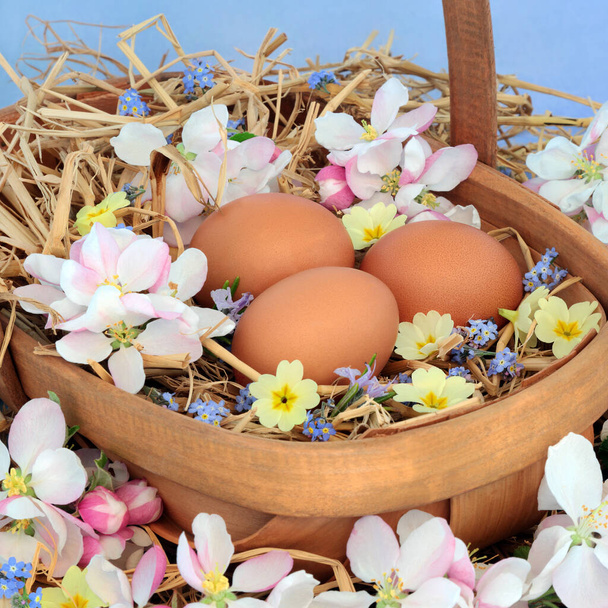 Ovos na palha na Páscoa em uma cesta velha com flor de maçã primavera, prímulas e me esqueça não. - Foto, Imagem