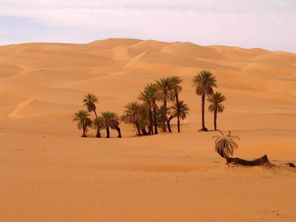 DESERT SAHARA CERCA DE SEBHA OASIS, LIBIA. SAFARI A TRAVÉS DE DUNAS DE DESERTO.  - Foto, Imagen