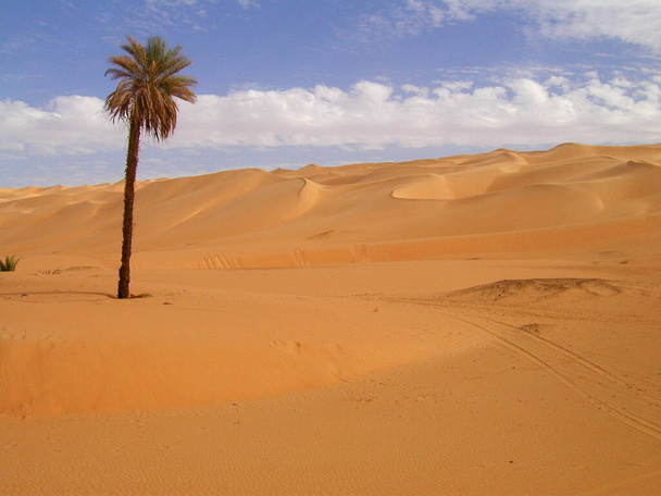 SAHARA DESERT NEAR SEBHA OASIS, LIBYA. SAFARI ACROSS DESERT DUNES.  - Photo, Image