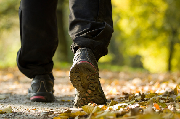 Senderismo en el bosque de otoño, ejercicio al aire libre
 - Foto, imagen