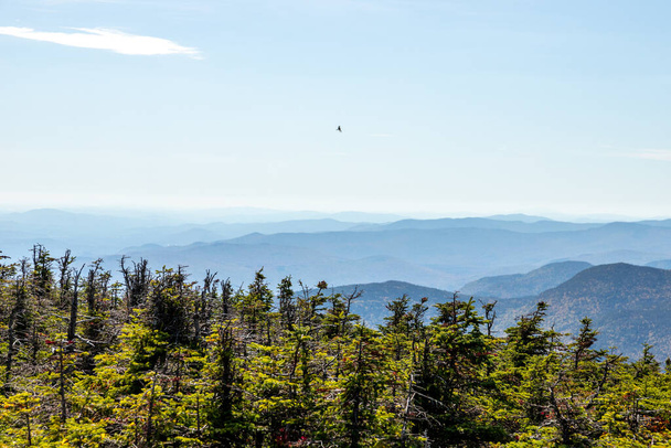 Wandelen in de Witte Bergen van New Hampshire tijdens de piek van de herfst gebladerte. - Foto, afbeelding
