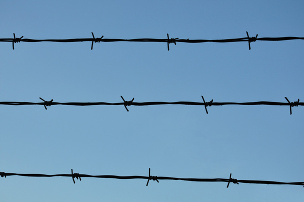 Barbed Wire - Photo, Image