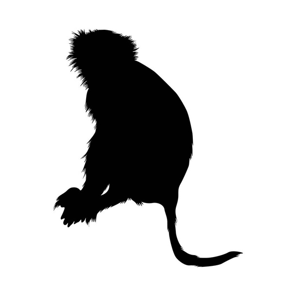Sitzender Affe (Macaca Fascicularis) auf einer Silhouette mit Seitenblick, die auf einer Landkarte von Afrika, Asien, Mittelamerika, Ozeanien und Südamerika gefunden wurde. Gut zu verwenden für Element Print Book, Animal Book und Animal Content - Vektor, Bild