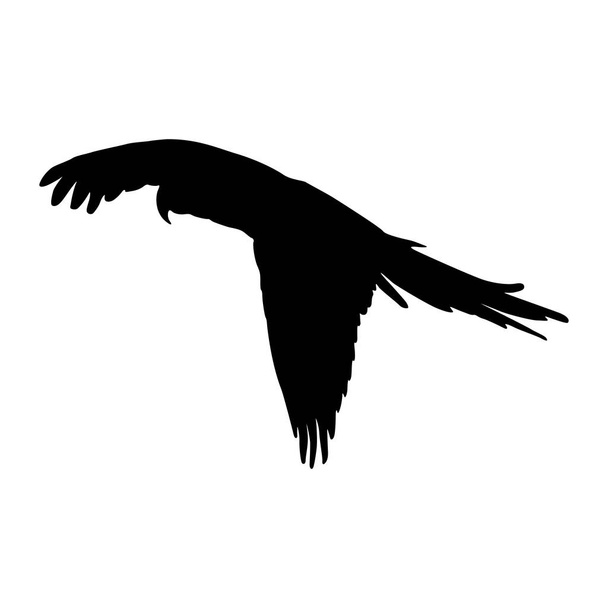 Flying Macaw Bird (Arini) On a Side View Silhouette Found In Map Of Central and South America. Dobrý použít pro Element Print Book, Zvířecí kniha a obsah zvířete - Vektor, obrázek
