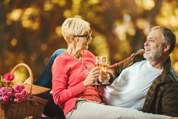 Heureux couple de personnes âgées ayant un pique-nique dans le parc d'automne, faire un toast. - Photo, image