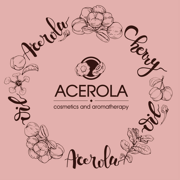 Cercle avec branche acérola cerise, fruit, fleur et lettrage. Croquis détaillés dessinés à la main, illustration botanique vectorielle. - Vecteur, image