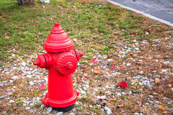 Close up de um hidrante de fogo vermelho americano tradicional ao longo de uma rua em um bairro residencial em uma manhã de outono - Foto, Imagem