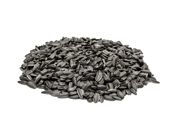 Pile of sunflower seeds on white.  - Фото, изображение