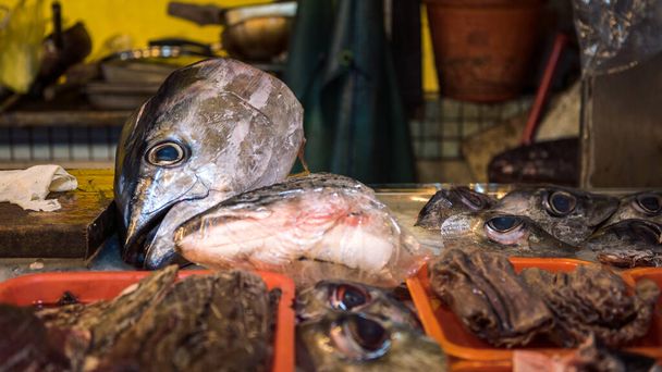 Hlava a oči tuňáka čerstvě zachycené zblízka. Tchajwanský asijský rybí trh. Zbytky velkého tuňáka žlutoploutvého na řezném stole po mořském rybolovu. Masakrování ryb se připravuje na místní velkoobchodní trh. - Fotografie, Obrázek