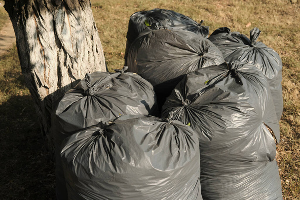 Εργασία στον κήπο κατά τη διάρκεια της φθινοπωρινής περιόδου. Απόβλητα που συλλέγονται σε γκρι σακούλες δίπλα σε δένδρο κήπου - Φωτογραφία, εικόνα