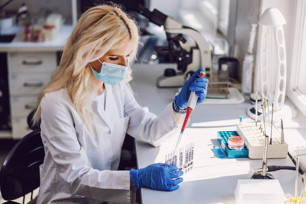 Atraktivní oddaná blondýnka laboratorní asistentka s obličejovou maskou a gumovými rukavicemi provádějící výzkum pro léčbu koronového viru. - Fotografie, Obrázek