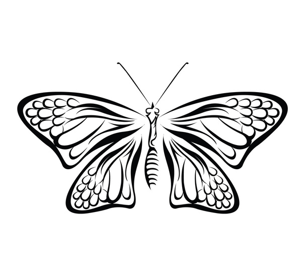 Butterfly - Vektori, kuva