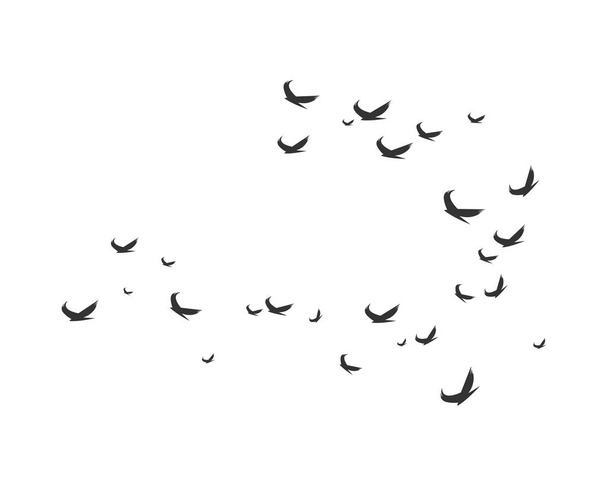 Projekt szablonu logo ptaków - Wektor, obraz
