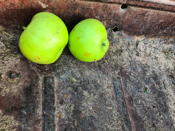 kärryissä on kaksi omenaa. Omenat ovat vihreitä, kiiltäviä, kiiltäviä. hedelmät korjataan kuljetusta varten. kärry on vanha, ruosteinen, ruskea, pölyinen ja likainen. syksyn sato, rehun valmistus, vitamiinivälipala - Valokuva, kuva