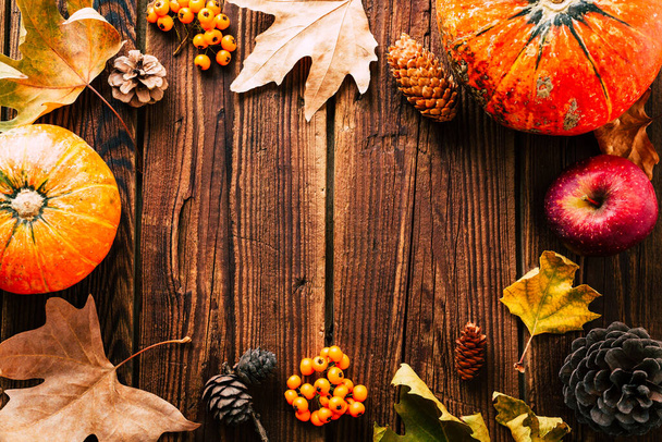 Autumn background. Frame made of dry leaves, pumpkin and cones. Copspace - Φωτογραφία, εικόνα