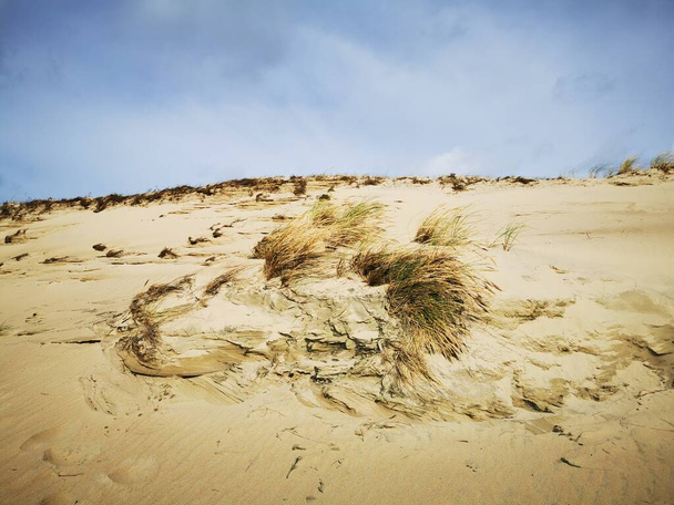 Dunas muertas de saliva curónica - desierto natural que separa el mar Báltico y la laguna - Foto, Imagen