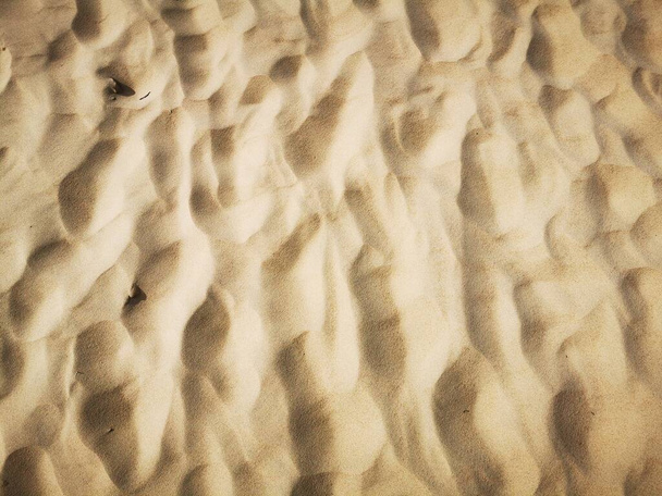 砂漠の砂風が地形の背景を吹いた - 写真・画像
