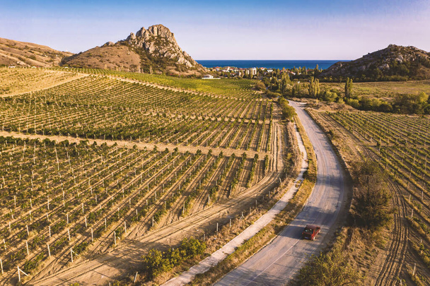 Fotografia aérea de uma paisagem mediterrânica típica com vinhas e uma estrada para o mar. - Foto, Imagem