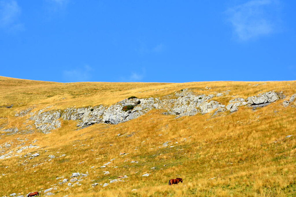 Macizo de Bucegi, en las montañas de la curva de los Cárpatos, Transilvania, Rumania. Siendo de gran complejidad estructural y morfológica, el macizo de Bucegi aparece como una fortaleza natural, apoyada acantilados bng. - Foto, imagen
