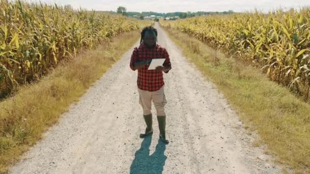 Inteligentne rolnictwo, filmik. Afrykanin agronomista trzyma tabliczkę na drodze między polami kukurydzy - Materiał filmowy, wideo