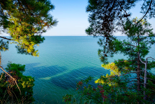 Над видом через хвойный навес от рифа на красивой мелкой бирюзовой воде  - Фото, изображение