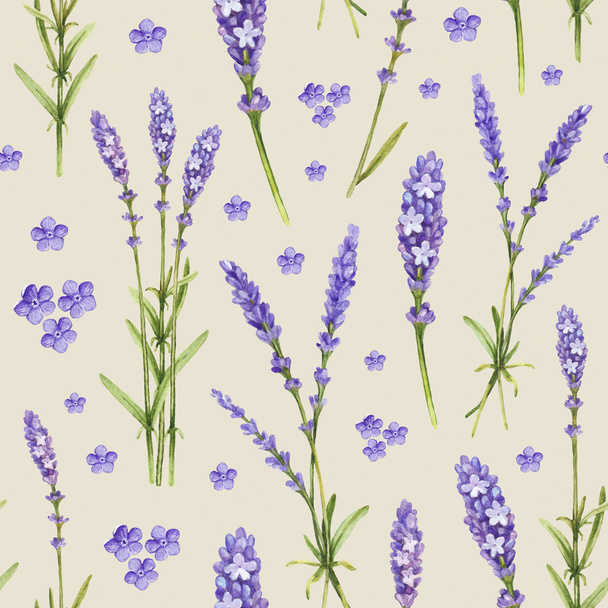 Lavender flower illustrations. Watercolor seamless pattern - Фото, изображение