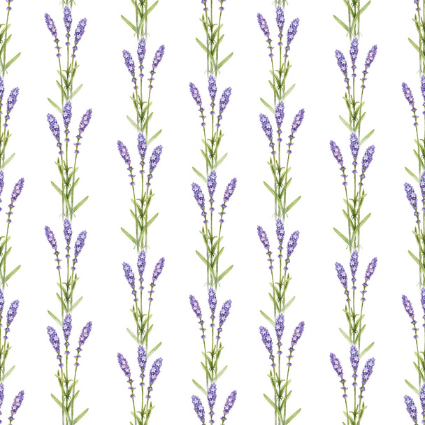 Lavender flower illustrations. Watercolor seamless pattern - Foto, afbeelding