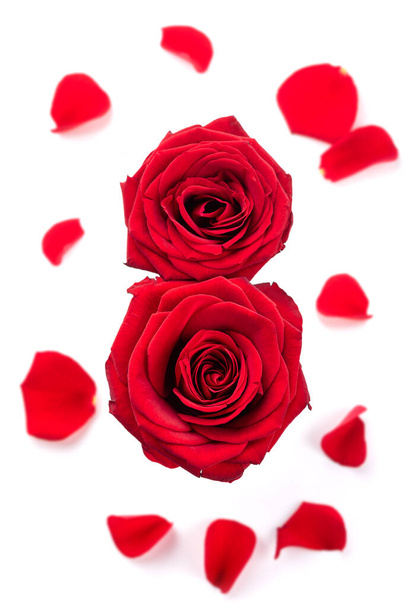 8番の形をした2つの赤いバラと花弁。3月8日おめでとうございます。白地に隔離 - 写真・画像
