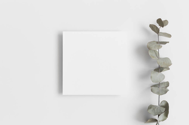 Invitation square card mockup with a eucalyptus branch. - Photo, Image