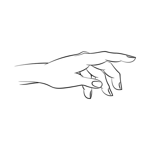 Elegante ilustración vectorial de contorno de mano de mujer. Lenguaje corporal mano dibujo. - Vector, imagen