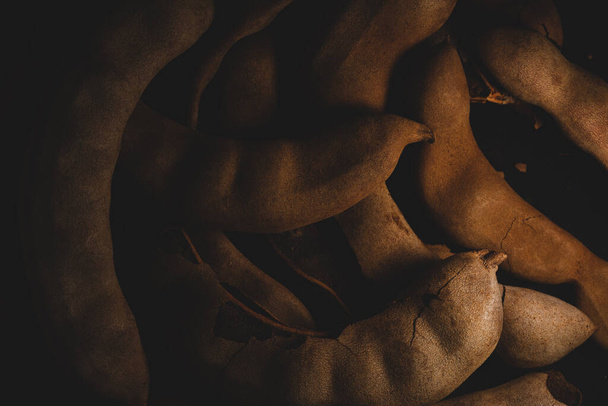 macro close up portrait of Mexican tamarind fruit, studio lighting  selective focus - 写真・画像