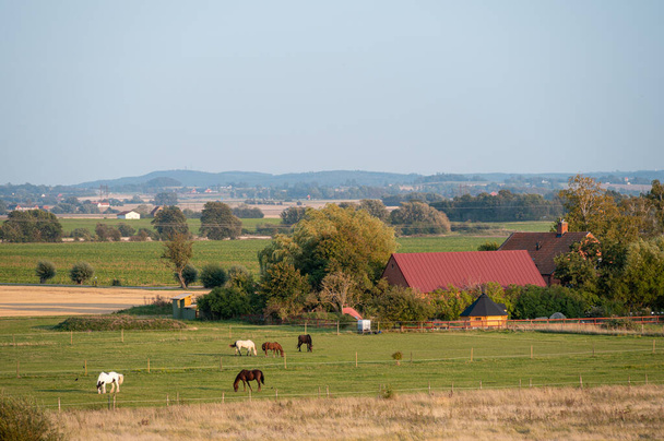 The Swedish flat farmlands with horses and farms during late summer in the landscape of Skane (Scania) - Photo, Image