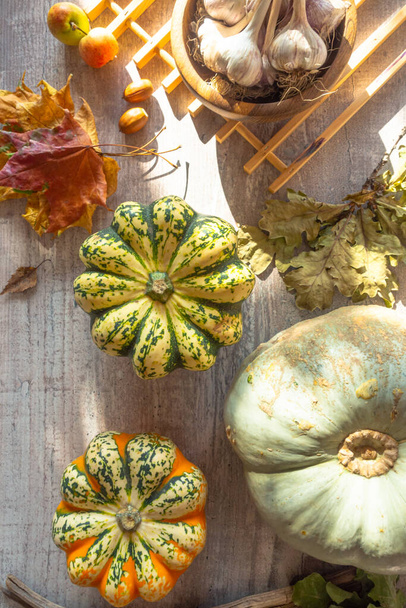 乾燥した葉の秋の組成,木製のテーブルにニンニクやカボチャ,フラットレイ,ハロウィン,感謝祭の日や季節の秋のデザインのモックアップ - 写真・画像