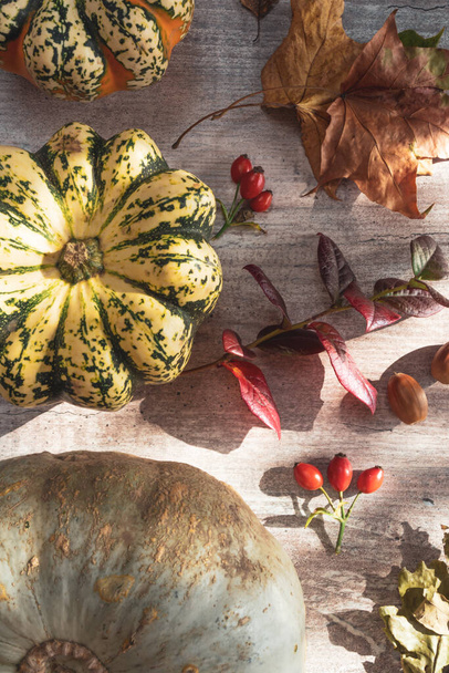 カボチャから秋の装飾、赤い果実は白い木製の背景にニンニクを残します。ハッピー感謝祭の日やハロウィーンの概念。季節のオファーや休日のポストカードのためのモックアップ。日当たりの良い影とフラットレイアウト秋の組成 - 写真・画像