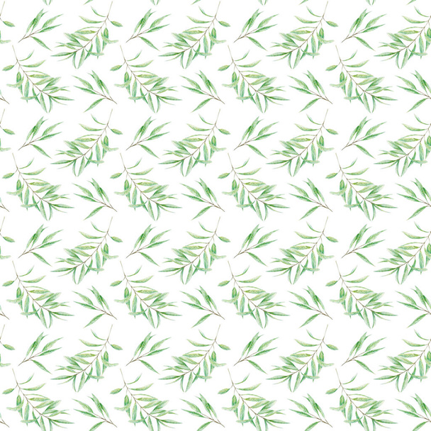 Безшовна візерункова зелень Акварельні гілки оливкового дерева, реалістичні листові ілюстрації на білому тлі, текстура ручної пофарбованої тканини. Дизайн для запрошень, плакатів, вітальних листівок, скрапбуків
 - Фото, зображення