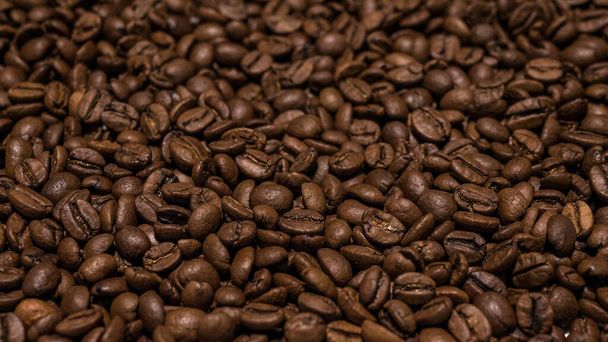 Coffee beans scattered close-up.Roasted coffee grains,appetizing,fragrant bean sprouts. - 写真・画像
