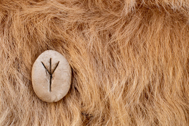 Kürkte Algiz İskandinav taş mührü. Viking alfabesinin Eolh harfi. - Fotoğraf, Görsel