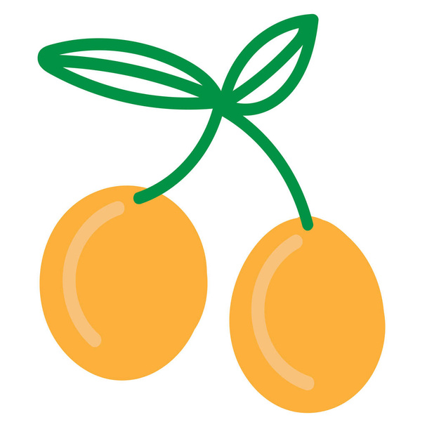 abricots orange mignon sur brindille, élément de couleur vectorielle, dessin simple mignon pour les enfants, fruits drôles - Vecteur, image