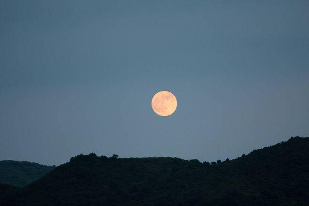 un paisaje de montaña. cielo nocturno y luna sobre bosques oscuros y colinas - Foto, imagen
