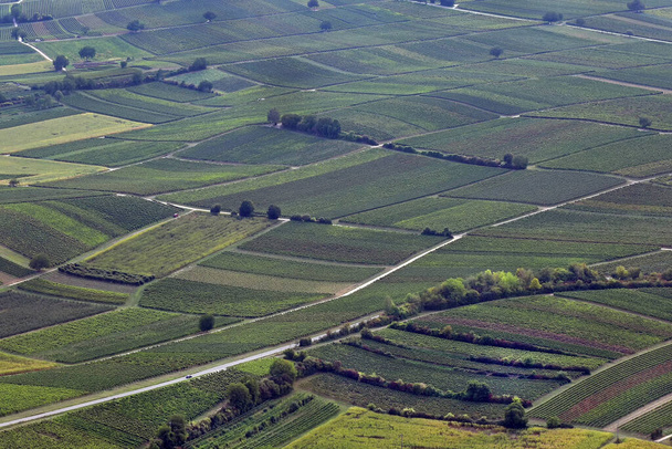 Pohled z ptačí perspektivy na vinice v jižním Falci - Fotografie, Obrázek