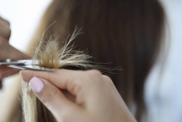 Hairdresser smooths ends of hair with scissors - Fotó, kép