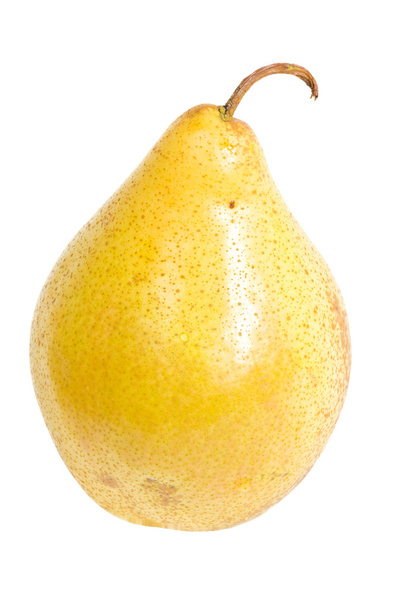 Pear - Photo, Image