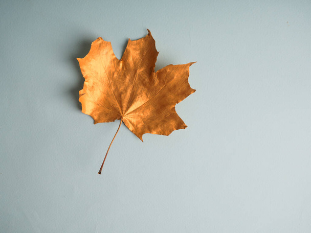 Zlatý javor listy na pevném pozadí pro přání a design, vložit text, trend a podzimní koncept. - Fotografie, Obrázek