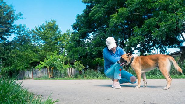 Beautiful woman walking cute dog in nature, Owner and dog walking on street - Photo, Image