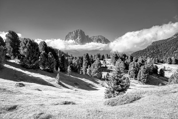 panorama infrarouge surréaliste de Val Gardena pendant la saison estivale - Photo, image