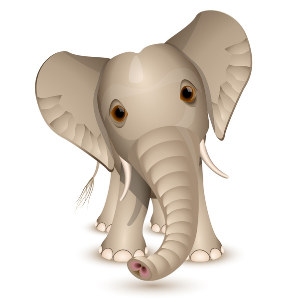 Kis elefánt - Vektor, kép