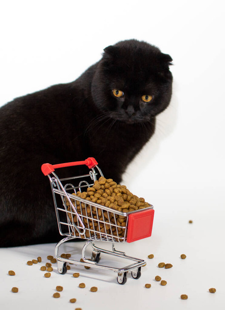 Un gatto scuro con gli occhi gialli siede con un carrello pieno di cibo per gatti. - Foto, immagini