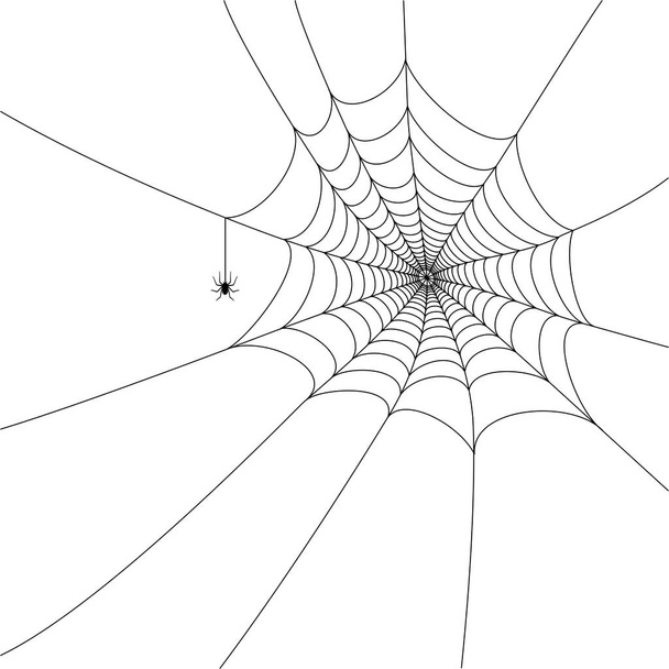 Spider web concept - Vector, Image